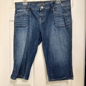 American Eagle Outfitters Women's Blue Jeans